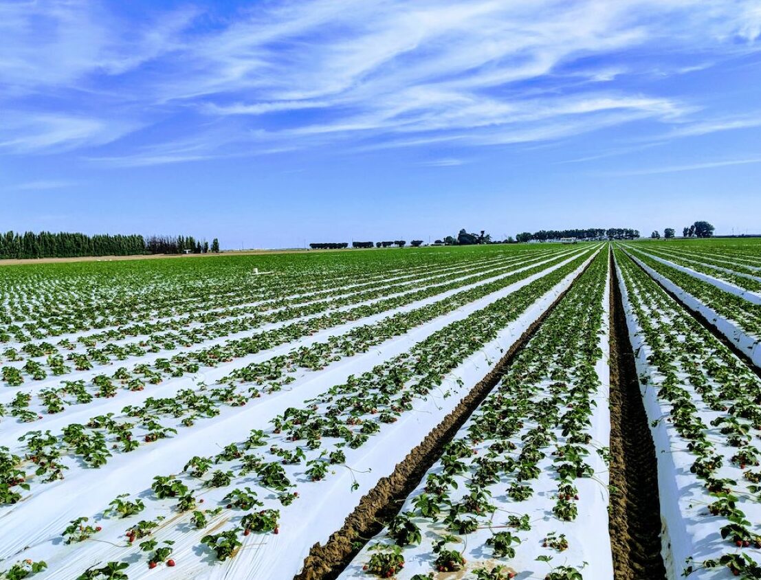 WhatsApp Image 2024-10-24 at 10.22.23